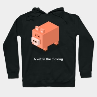 A vet in the making Hoodie